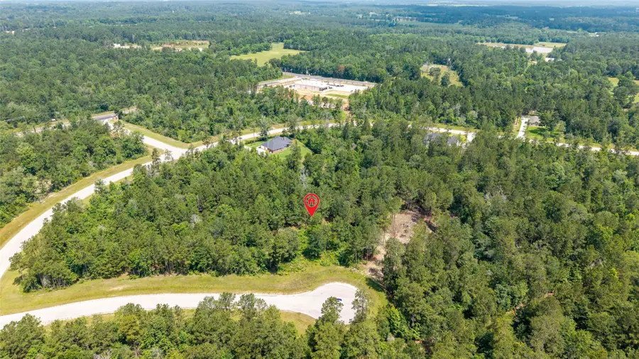 157 Iron Horse Road, New Waverly, TX 77378 - #3