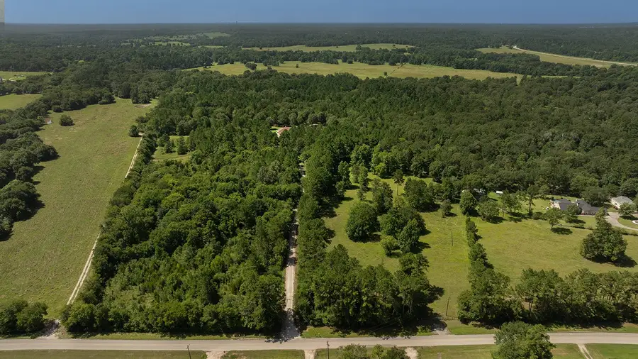 5132 Mount Zion Road, New Waverly, TX 77358 - #2