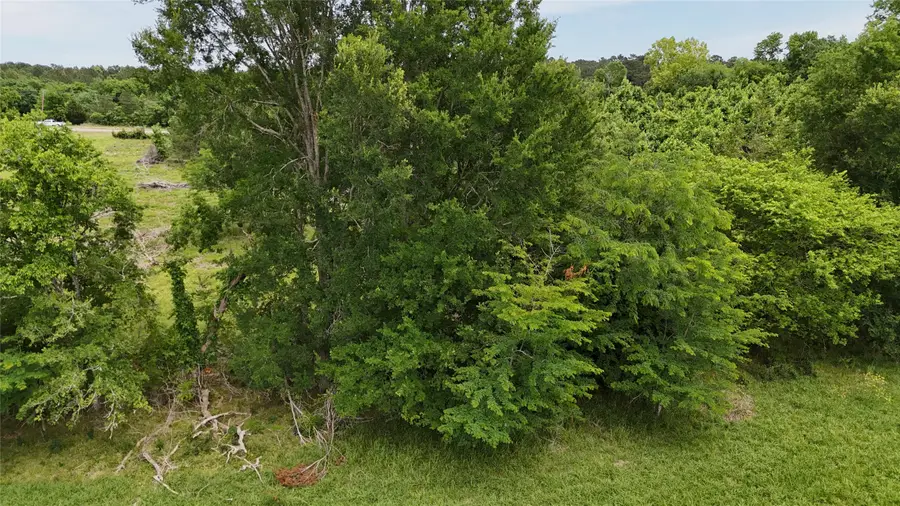 TBD 48 Acres Us Highway 59 S, Livingston, TX 77351 - #2