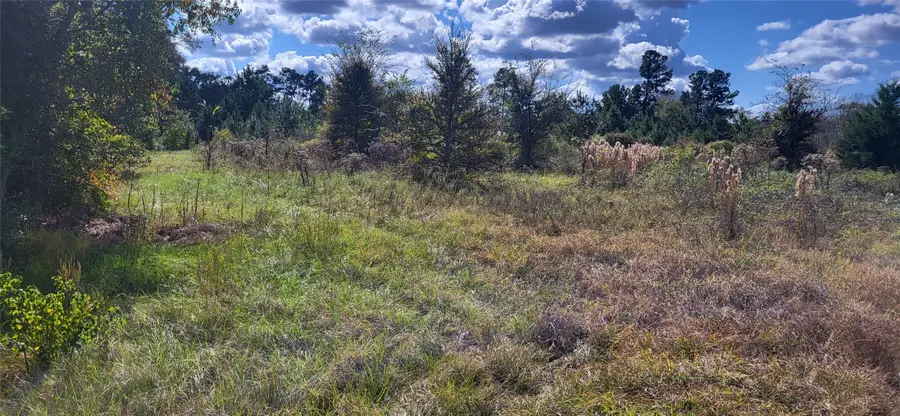 23 Knight Lane, Huntsville, TX 77320 - #3
