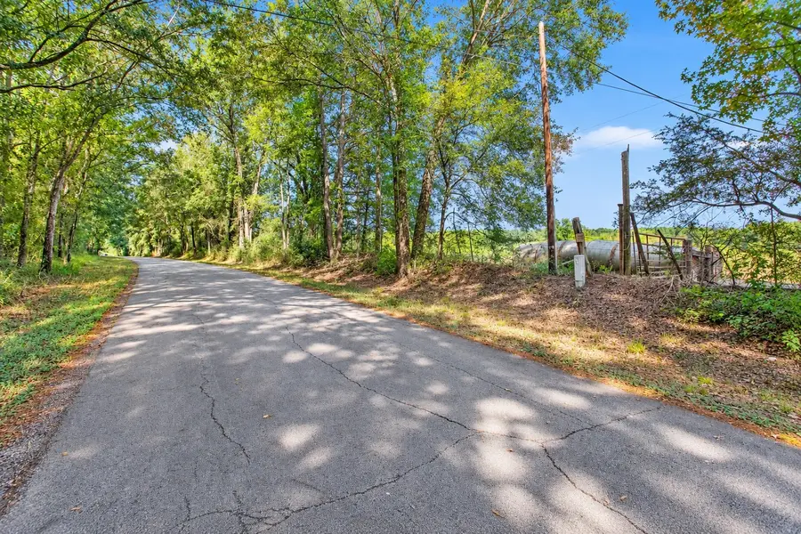 TBD Bailey Grove Road, Montgomery, TX 77356 - #3