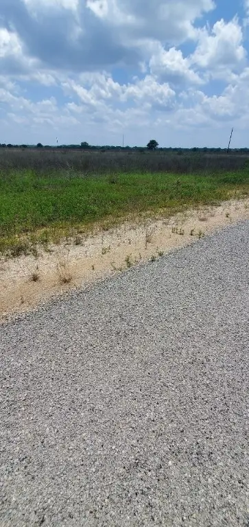 139 Wild Wing Preserve, Columbus, TX 78934 - #2