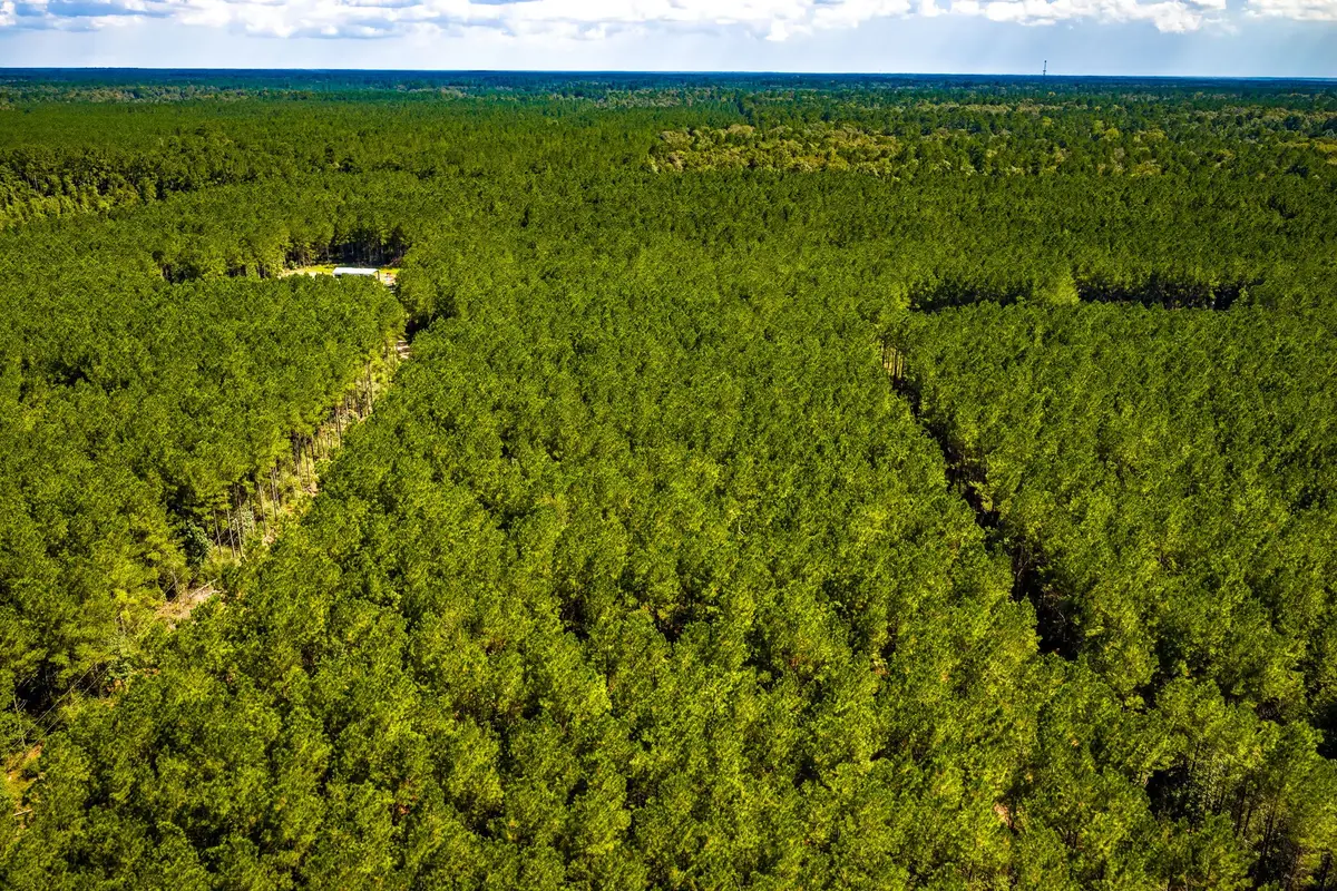 0 Duff Road, Livingston, TX 77351 - #1