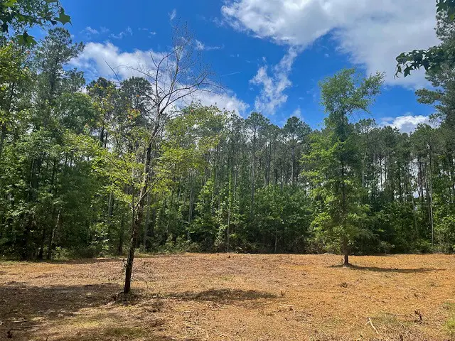1 Highway 69, Zavalla, TX 75980 - #1