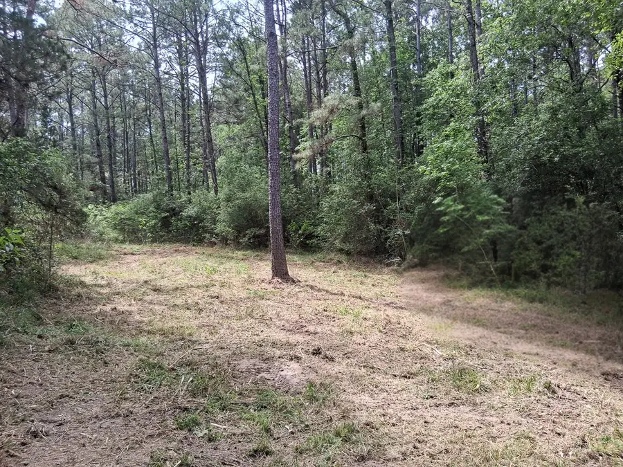1 Highway 69, Zavalla, TX 75980 - #2
