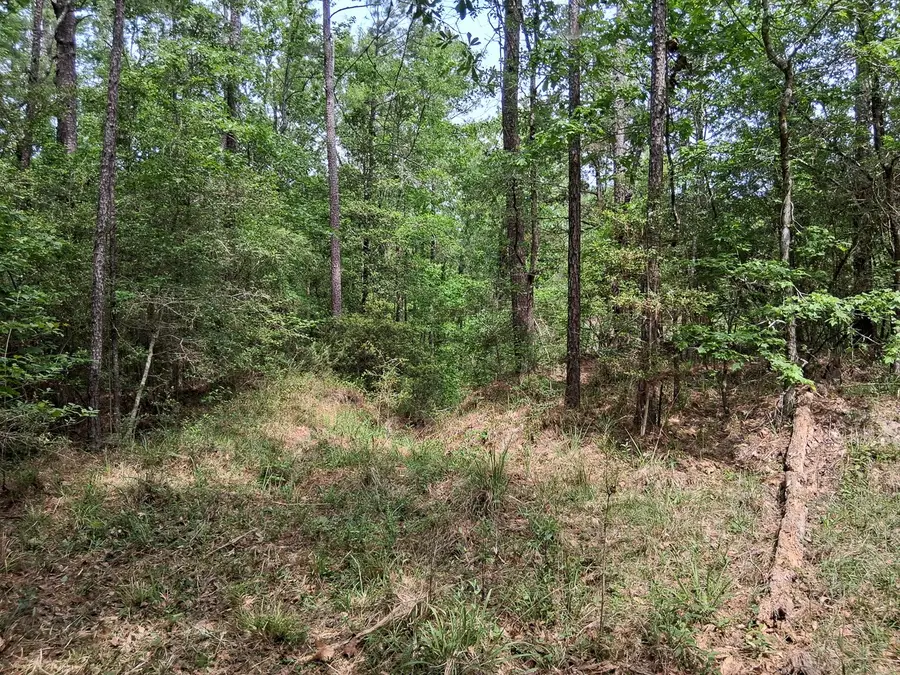 1 Highway 69, Zavalla, TX 75980 - #3