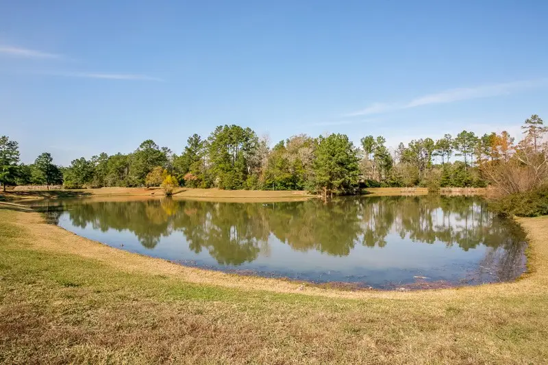 28915 Forest Hill Drive, Magnolia, TX 77355 - Image #2