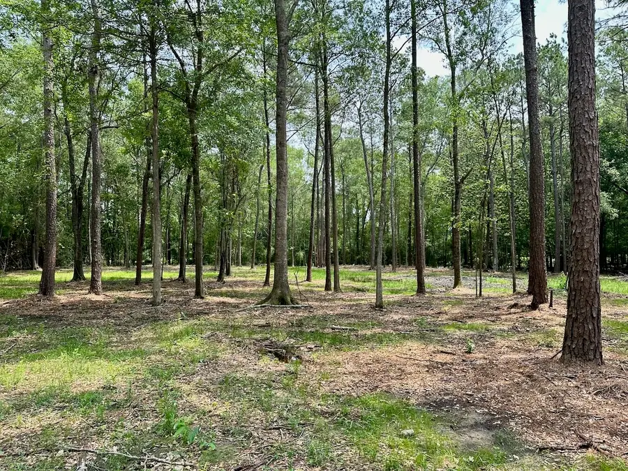 10460 Sweetgum Lane, Lumberton, TX 77657 - #2