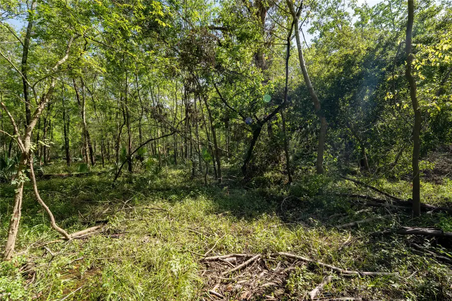 11623 & 11625 Cool Shadows Lane, Houston, TX 77044 - #3