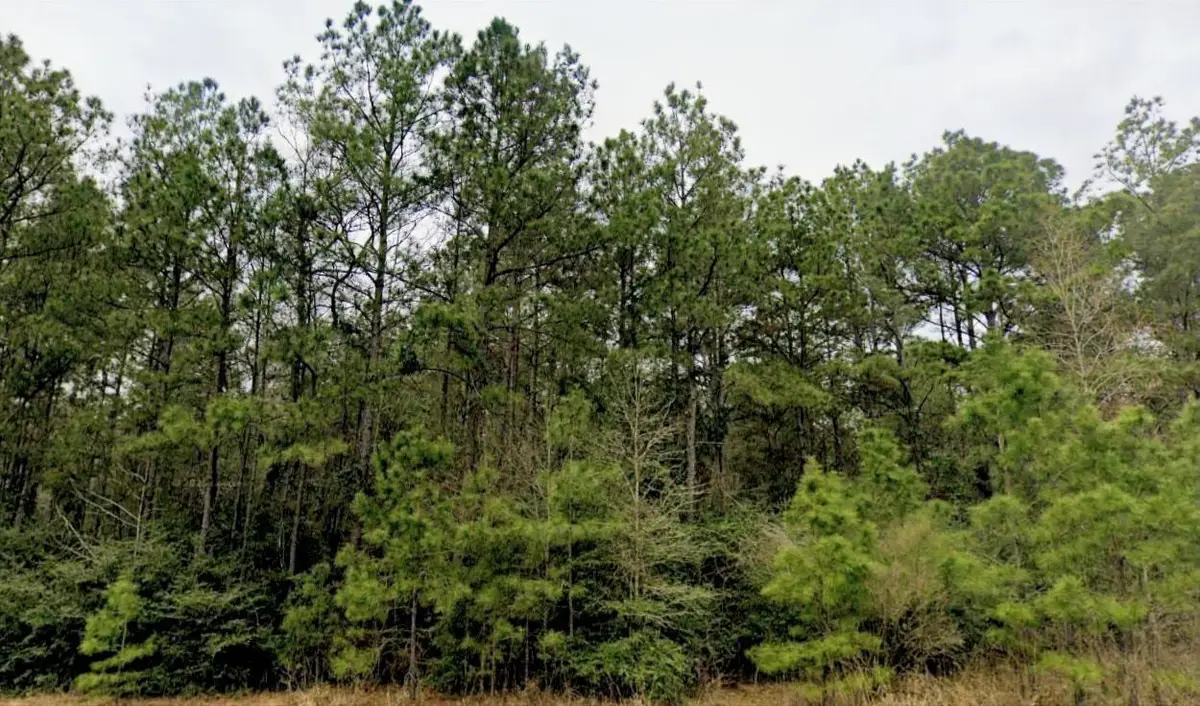 15572 Intrepid Lane, Willis, TX 77378 - Image #1