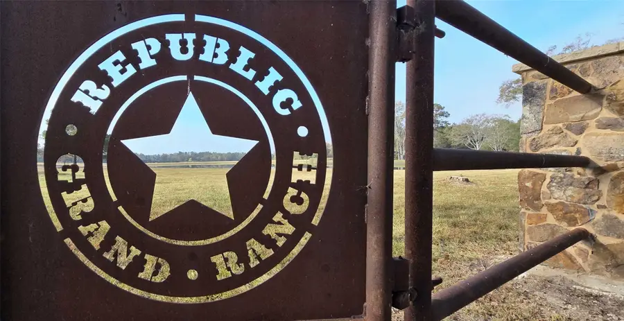 15572 Intrepid Lane, Willis, TX 77378 - Image #3