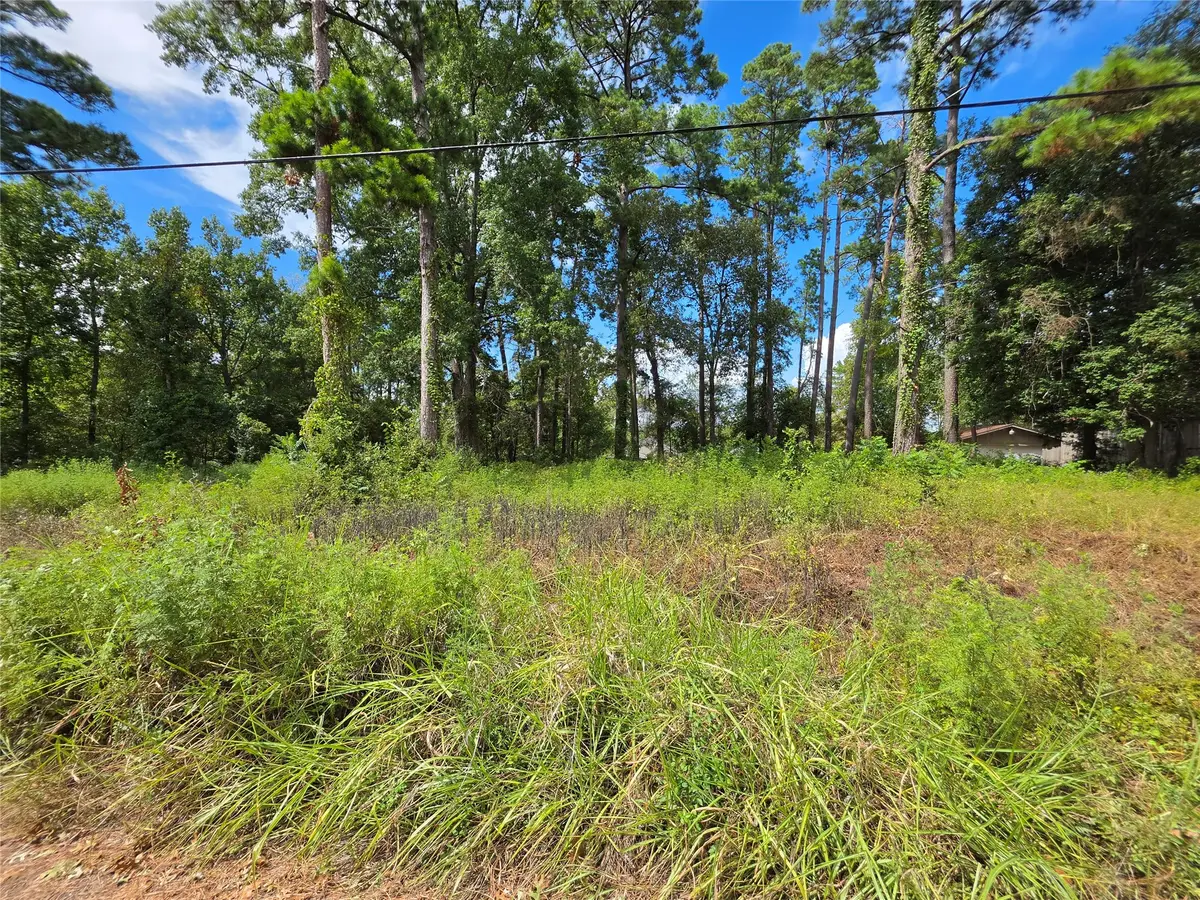 156 Lakeview Drive, Onalaska, TX 77360 - #1