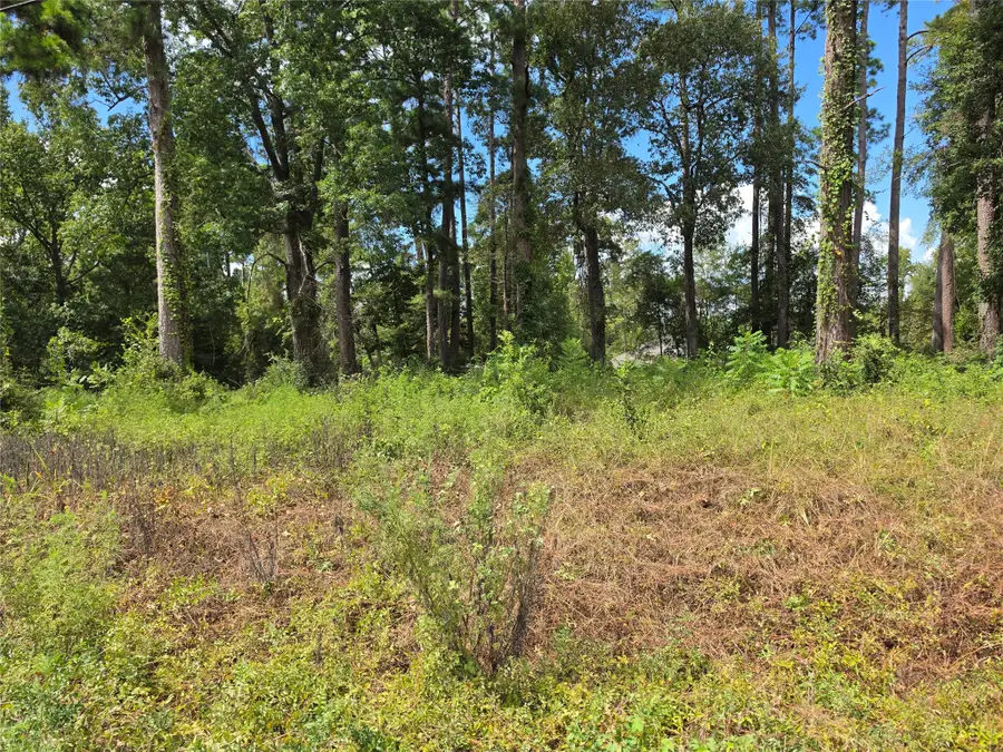 156 Lakeview Drive, Onalaska, TX 77360 - #2
