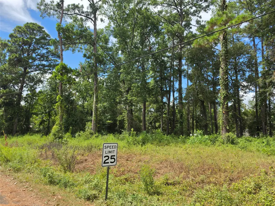 156 Lakeview Drive, Onalaska, TX 77360 - #3