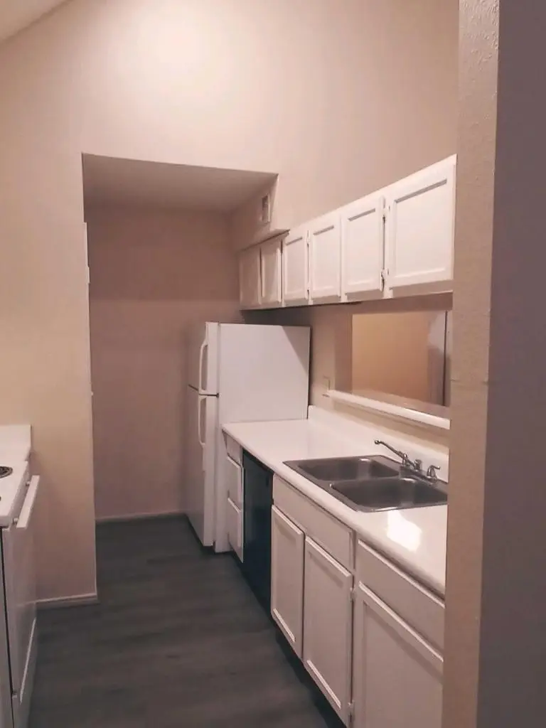 14550 Fonmeadow Drive #1100, Houston, TX 77035 - #1