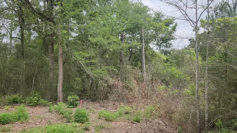 Lot 10 B53 Sweetleaf Lane, Plantersville, TX 77363 - #2