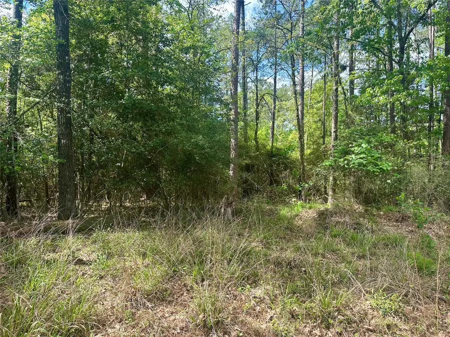 00 Belladonna Drive, Onalaska, TX 77360 - #2