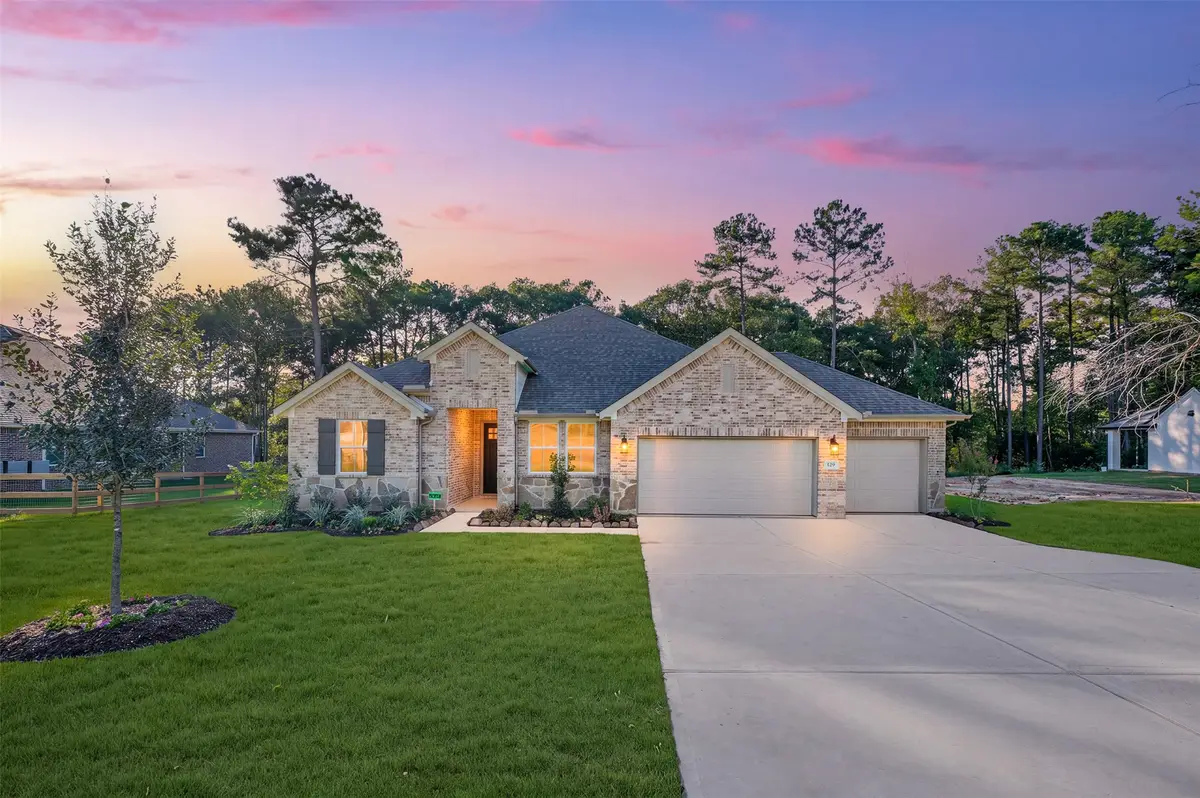 129 Roebuck Lane, New Waverly, TX 77358 - #1