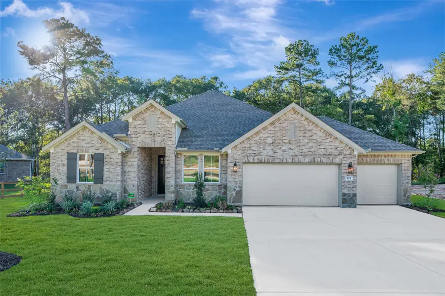 129 Roebuck Lane, New Waverly, TX 77358 - #2