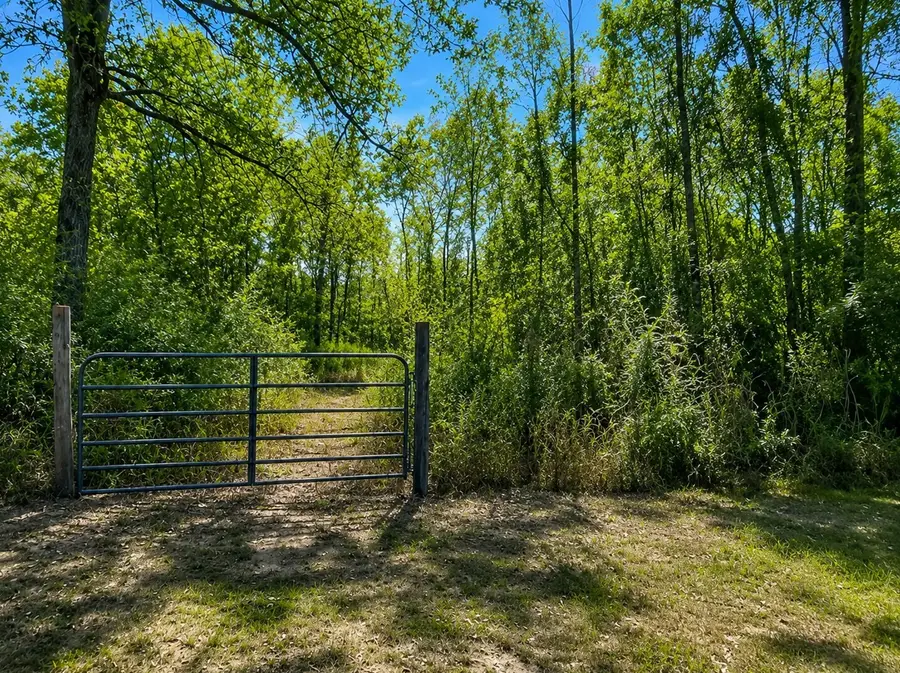 Lot 12 Sam Houston, Willis, TX 77378 - #2