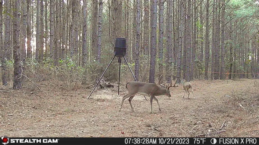 350 Williamson Way, Lovelady, TX 75851 - #1