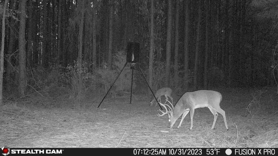 350 Williamson Way, Lovelady, TX 75851 - #2