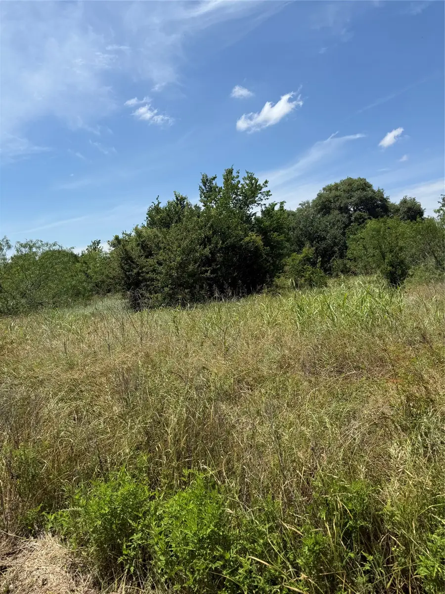 0 County Road 438, Snook, TX 77878 - #3