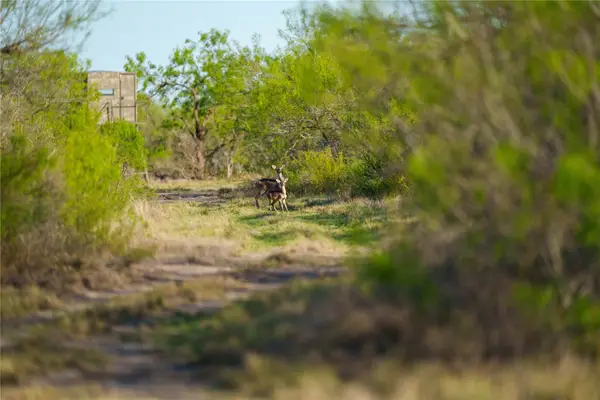 12355 Texas 131, Brackettville, TX 78832