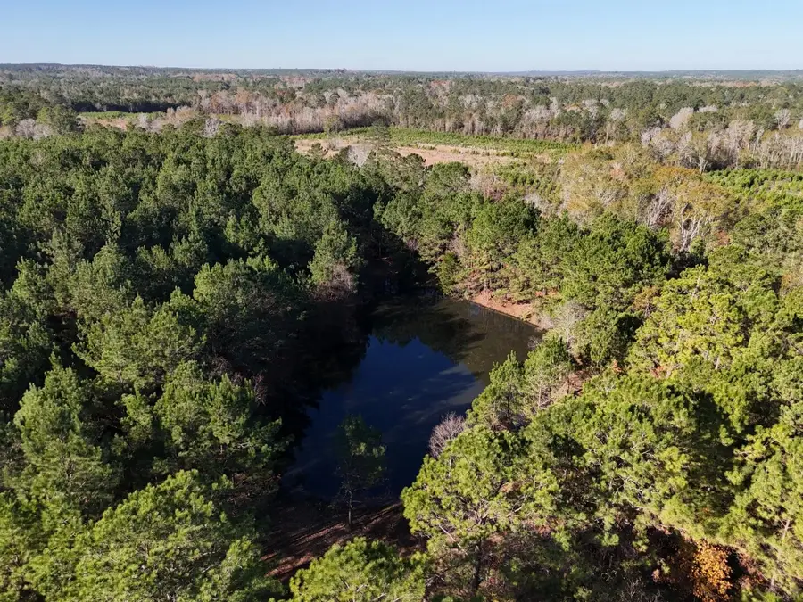 Lot 1 E Fm 942, Camden, TX 75934 - #3