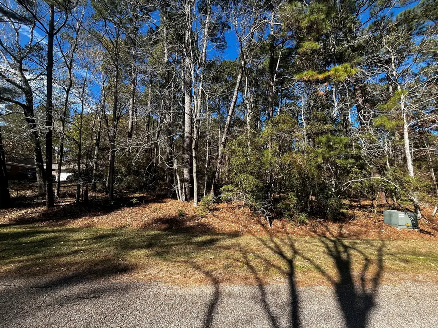 10 Wentworth Lane, Coldspring, TX 77331 - Image #2