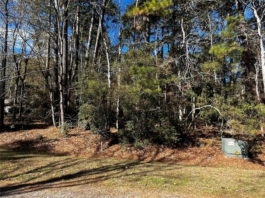 10 Wentworth Lane, Coldspring, TX 77331 - Image #3