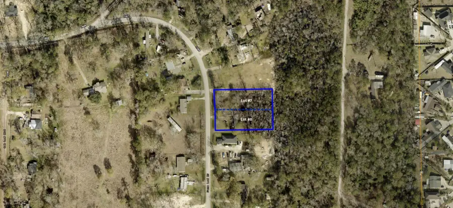 21171 Ferne Leaf Drive, Porter, TX 77365 - Image #2