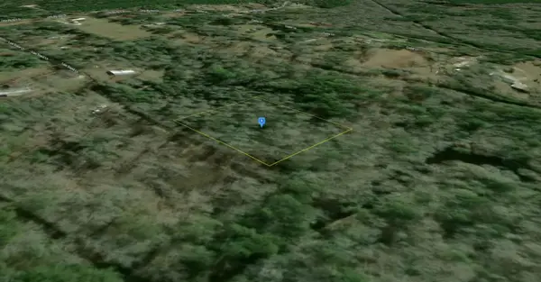 0 Last Stand Lane, Silsbee, TX 77656