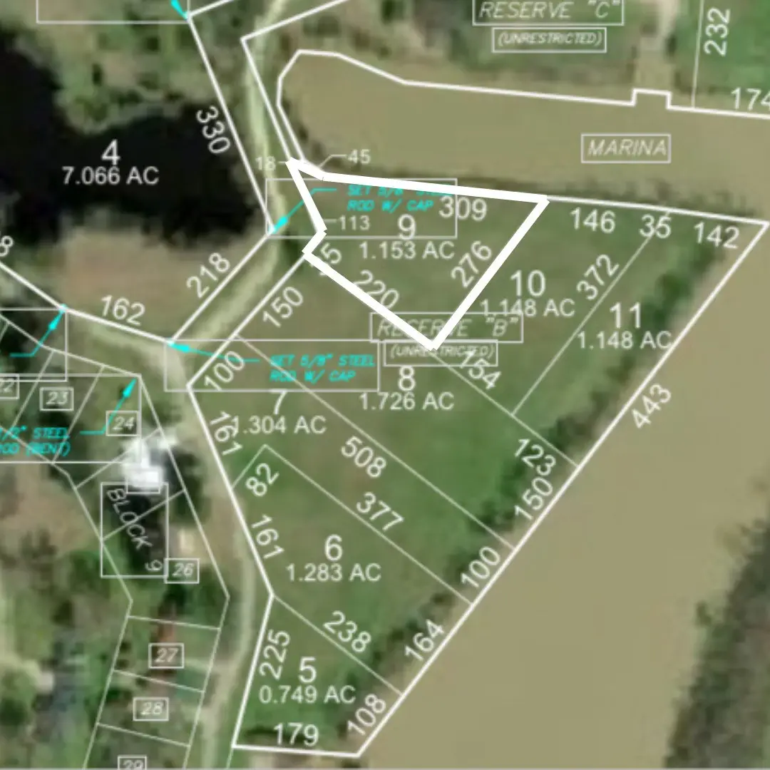 Lot 9 Lake Livingston Lane, Trinity, TX 75862 - Image #1