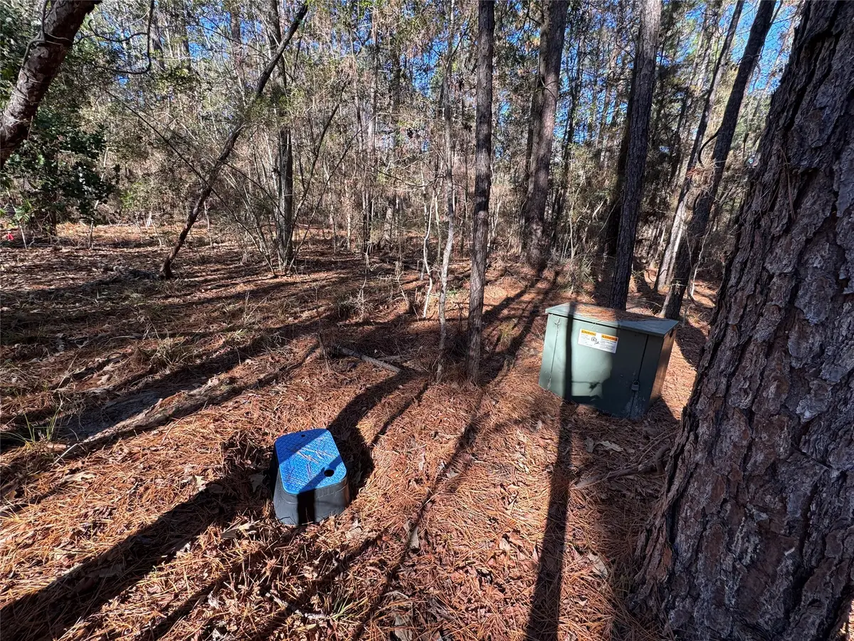 345 Sumac Drive, Brookeland, TX 75931 - Image #1