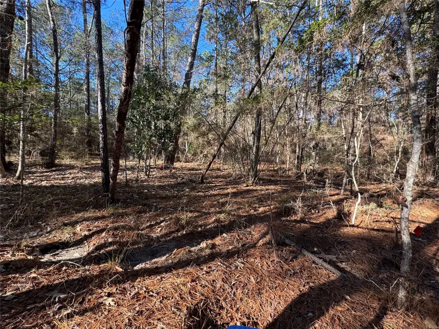 345 Sumac Drive, Brookeland, TX 75931 - Image #3