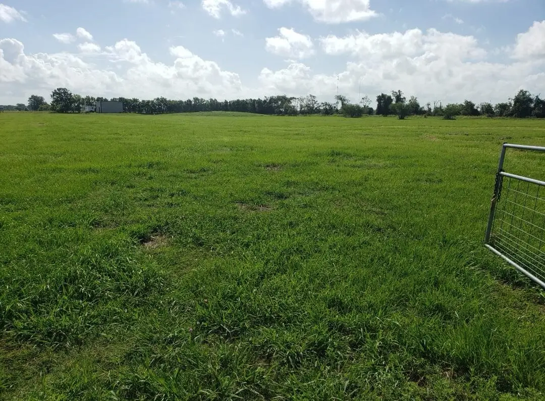 169 Timberline Drive, Bay City, TX 77414 - Image #1