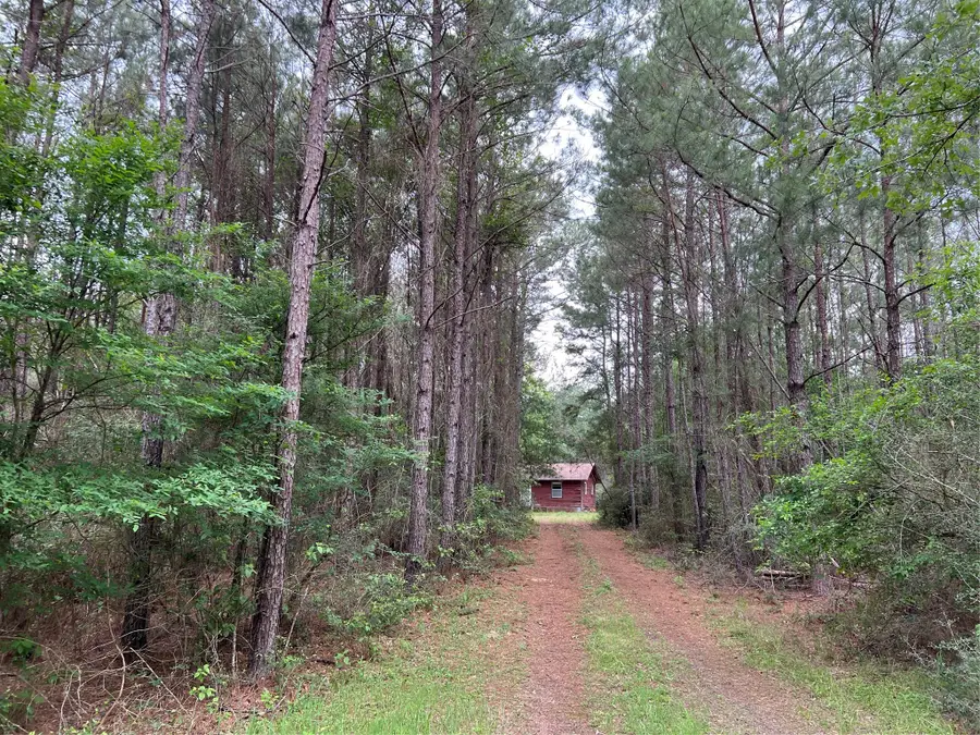 (Tract 1) 33 Eubanks Road, Bedias, TX 77831 - #2