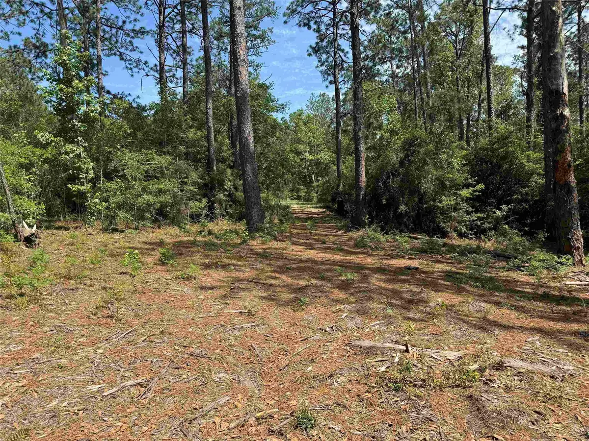 565 Sparkleberry Drive, Brookeland, TX 75931 - #1