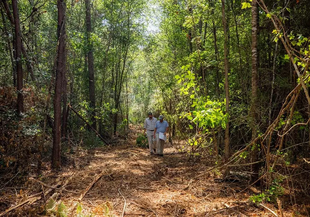 15575 Intrepid Lane, Willis, TX 77378 - Image #1