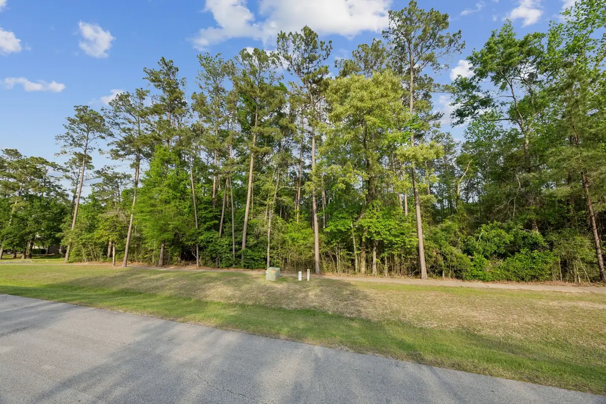 27322 Whispering Maple Way, Spring, TX 77386 - #1