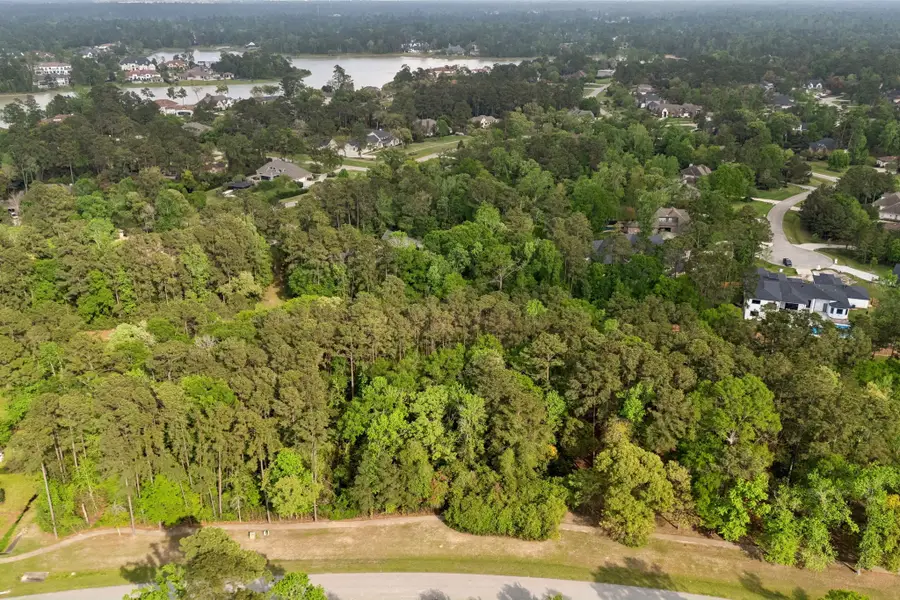 27322 Whispering Maple Way, Spring, TX 77386 - #3