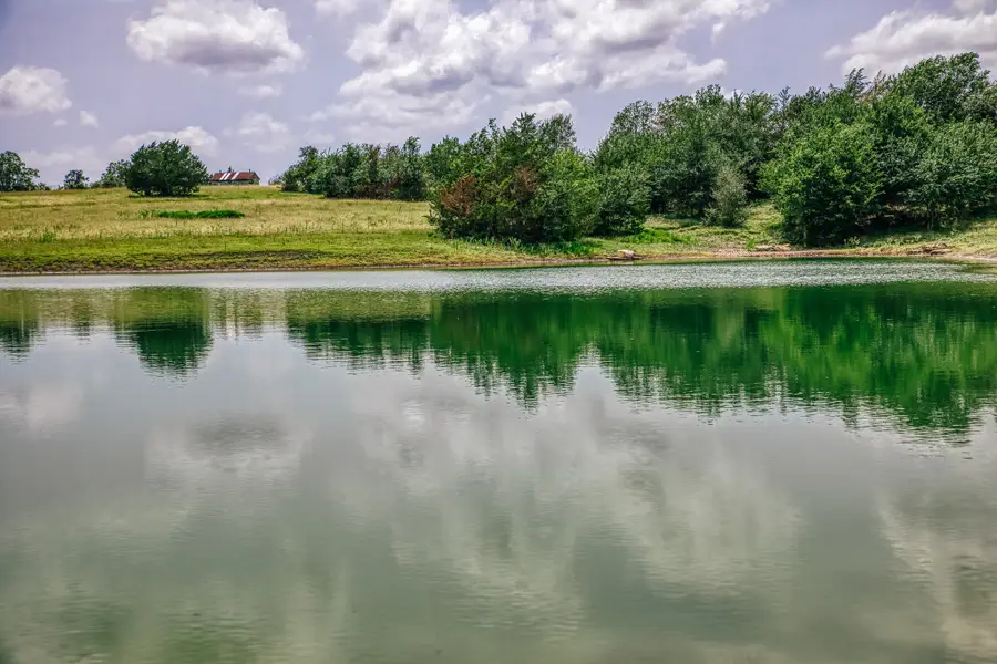 9909 Latium Cemetery Rd - Tract 4, Burton, TX 77835 - #3