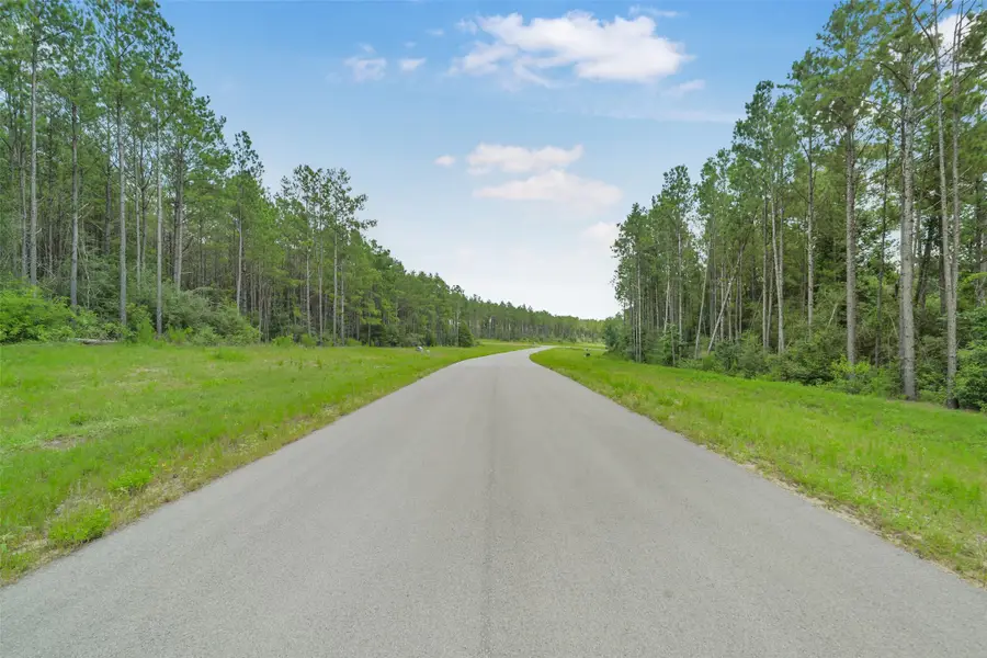 11991 High Branch Way, Willis, TX 77378 - #2