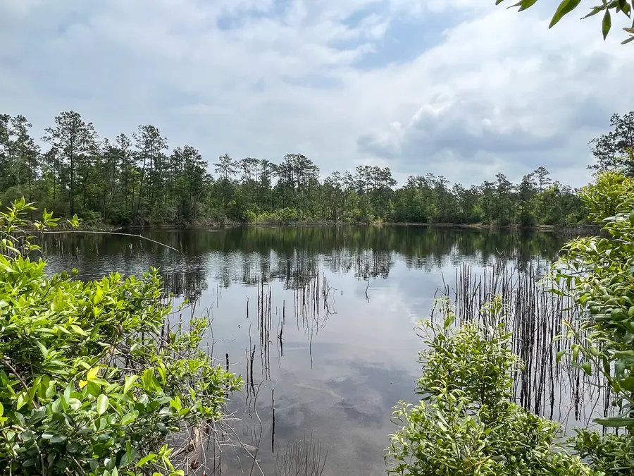 0 Fm 2937, Silsbee, TX 77656 - #2