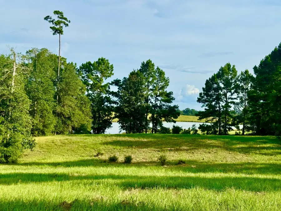 Lot 344 Lakeland Ranch, Hillister, TX 77624 - #3