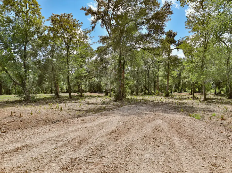 2301 Cr 851, Brazoria, TX 77422 - #2