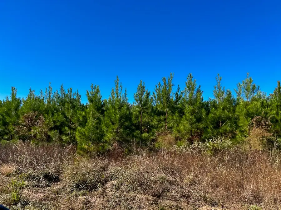 T-4 Fm 787, Votaw, TX 77376 - Image #2