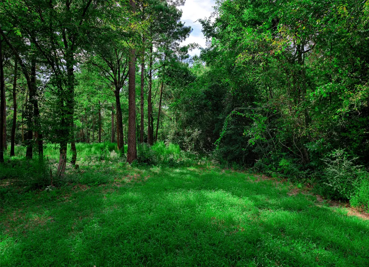 3-15-36 Winchester Road, Huntsville, TX 77340 - #1