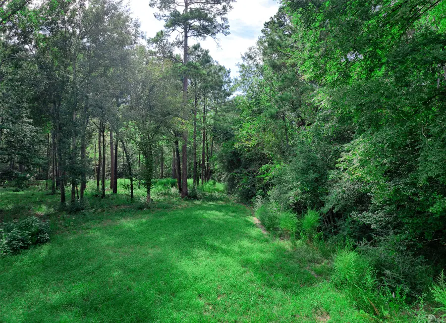 3-15-36 Winchester Road, Huntsville, TX 77340 - #3